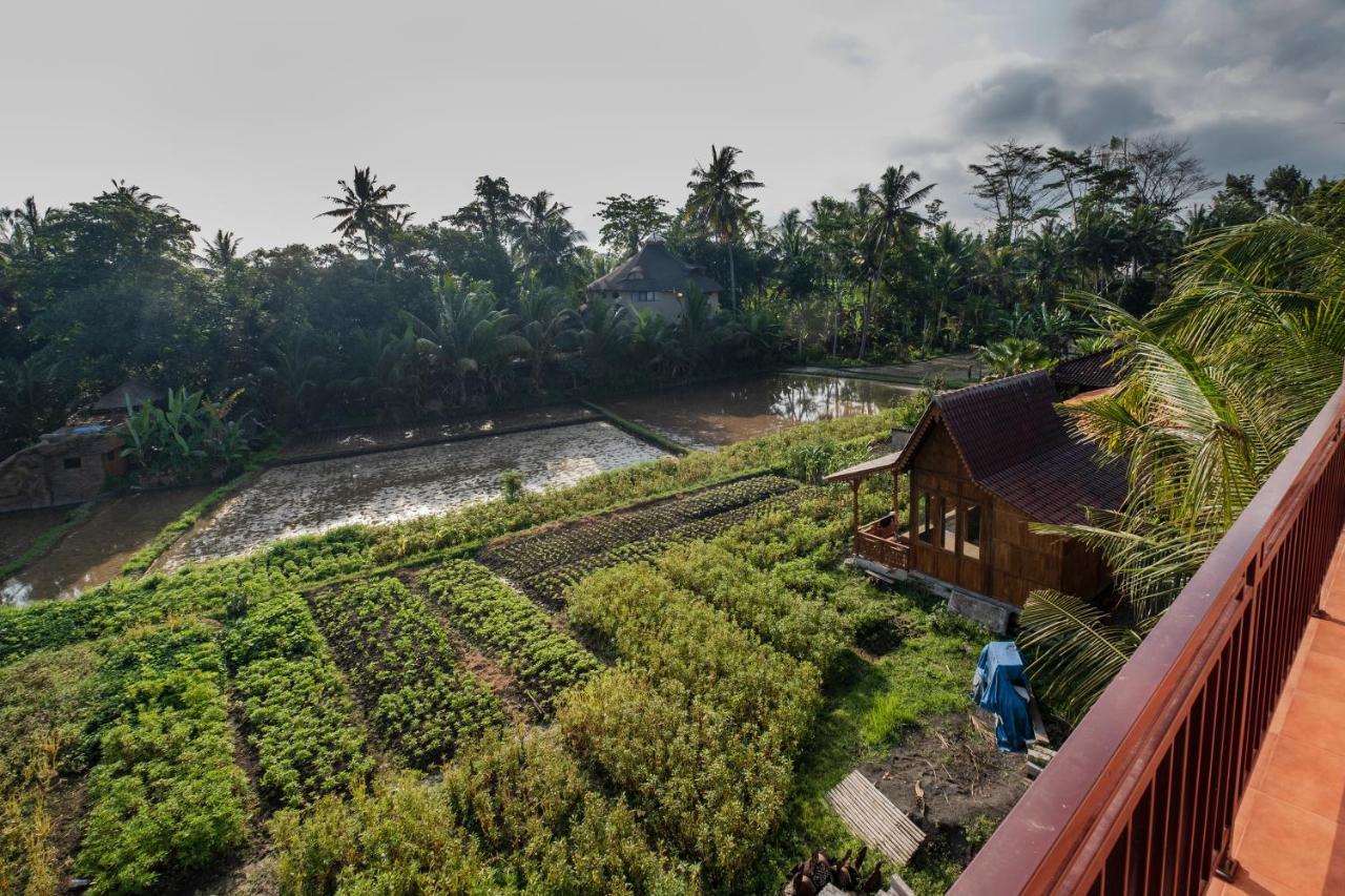 Kemangi, Katik Lantang, Ubud, Bali Lejlighed Eksteriør billede